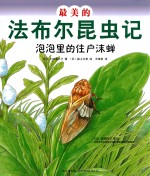 （日）小林清之介著；（日）森上义孝绘；王维幸译；（日）须田孙七审订 — 最美的法布尔昆虫记 泡泡里的住户沫蝉