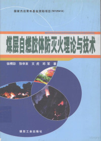 徐精彩，文虎，邓军等著, 徐精彩等著, 徐精彩 — 煤层自燃胶体防灭火理论与技术