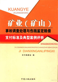 本书编委会编 — 矿业 矿山 事故调查处理与伤残鉴定赔偿支付标准及典型案例评析 第1卷