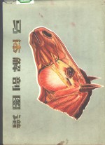 中国人民解放军兽医大学编著 — 马体解剖图谱