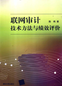 陈伟著 — 联网审计技术方法与绩效评价