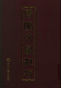 向辉主编 — 阳明文献汇刊 45