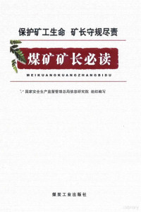 国家安全生产监督管理总局信息研究院组织编写 — 保护矿工生命 矿长守规尽责 煤矿矿长必读