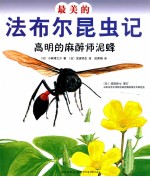 （日）小林清之介著；（日）泷波明生绘；田秀娟译 — 最美的法布尔昆虫记 高明的麻醉师泥蜂