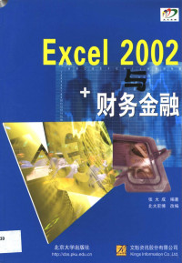 张大成编著；北大宏博改编 — Excel 2002与财务金融