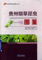 商胜华，杨茂发，孟建玉主编；贵州省烟草科学研究院等编 — 贵州烟草昆虫图鉴