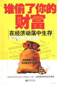 王海滨著, 王海滨, author, 王海滨著, 王海滨 — 谁偷了你的财富 在经济动荡中生存