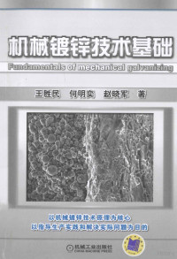 王胜民，何明奕，赵晓军著, 王胜民, 何明奕, 赵晓军 — 机械镀锌技术基础