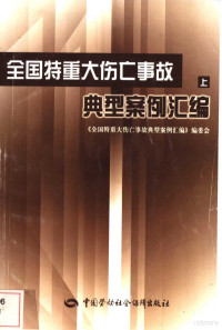 王毫编著, 《全国特重大伤亡事故典型案例汇编》编委会 , 编委会主任闪淳昌, 闪淳昌, 《全国特重大伤亡事故典型案例汇编》编委会 — 全国特重大伤亡事故典型案例汇编 上