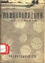 （苏联）M.B.斐多罗夫著；陈善坤译 — 固氮细菌及其在农业的作用