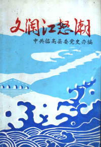 中共临高县委党史办编 — 文澜江怒潮