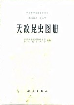 中国科学院动物研究所等编 — 中国科学院动物研究所昆虫图册 第三号 天敌昆虫图册