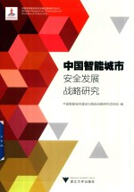 中国智能城市建设与推进战略研究项目组编 — 中国智能城市安全发展战略研究