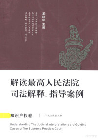 奚晓明主编 — 解读最高人民法院司法解释、指导安例