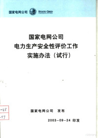 国家电网公司发布 — 国家电网公司电力生产安全性评价工作实施办法 试行