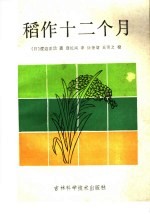 （日）渡边正信著；修长兴译 — 稻作十二个月