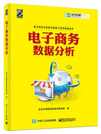 北京中清研信息技术研究院著 — 电子商务数据分析