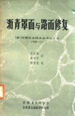 王长海，姜尔宁译 — （美）沥青协会技术丛书 17 WS-17 沥青罩面与路面修复