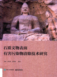 齐扬，周伟强，赵林娟编著, 齐扬, author — 石质文物表面有害污染物清除技术研究