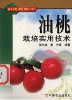 张克斌，姜全等编著 — 油桃栽培实用技术