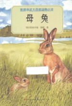 格日勒其木格·黑鹤著 — 黑鹤亲近大自然动物小说 母兔