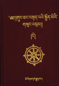 贡唐·丹贝仲美著, Bstan-pavi-sgron-me — 贡唐·丹贝仲美文集 第4卷 藏文