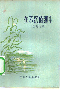 孟驰北著 — 在不沉的湖中