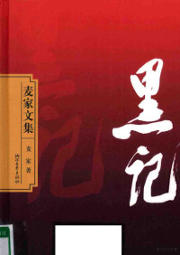 麦家著 — 黑记