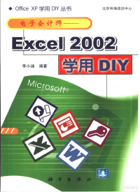 李小迪编著, 李小迪编著, 李小迪 — 电子会计师 Excel 2002学用DIY