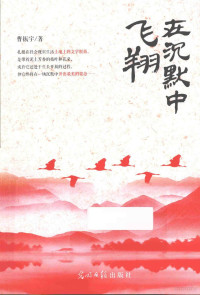 曹振宇著, 曹振宇, 1975- author, 曹振宇著, 曹振宇 — 在沉默中飞翔