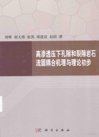 周辉，胡大伟，张凯等著 — 高渗透压下孔隙和裂隙岩石流固耦合机理与理论初步