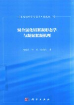 冯成洪，毕哲，伍晓红著 — 水处理科学与技术 典藏版 10 聚合氯化铝絮凝形态学与凝聚絮凝机理