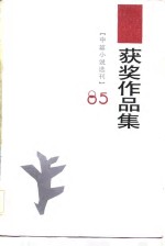  — 1985年《中篇小说选刊》获作品集 下