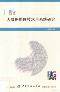 郑睿颖著 — 大数据处理技术与系统研究