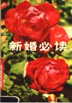 施天祥等著 — 新婚必读