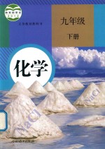 人民教育出版社，课程教材研究所，化学课程教材研究开发中心编著 — 义务教育教科书 化学 九年级 下