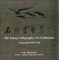 石翔著, Shi xiang, 石翔 — 石翔现代书艺精选集