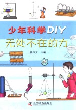 段伟文主编 — 少年科学DIY 无处不在的力