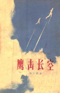 杨大群著 — 鹰击长空