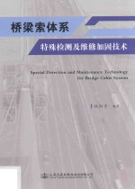 林阳子编著 — 桥梁索体系特殊检测及维修加固技术