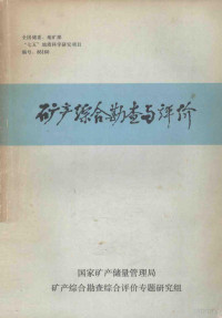 国家矿产储量管理局矿产综合勘查综合评价专题研究组编 — 矿产综合勘查与评价