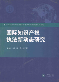 毛金生，杨哲，程文婷著 — 国际知识产权执法新动态研究