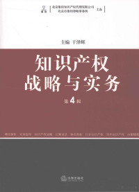 于泽辉主编, 于泽辉主编, 于泽辉 — 知识产权战略与实务 第4辑