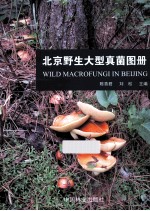 陈青君，刘松编著 — 北京野生大型真菌图册