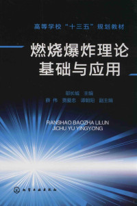 邬长城主编；薛伟，贾爱忠，谭朝阳副主编, 邬长城主编, 邬长城 — 燃烧爆炸理论基础与应用