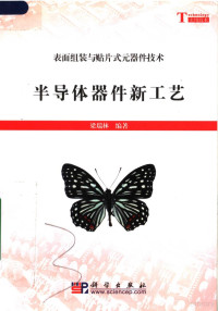 梁瑞林编著, 梁瑞林编著, 梁瑞林 — 半导体器件新工艺