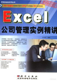 史丰田编著, 史丰田编著, 史丰田 — Excel公司管理实例精讲