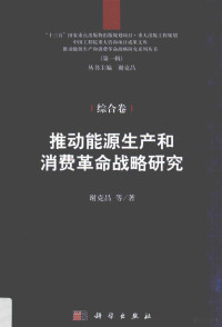 谢克昌等著, 谢克昌等著, 谢克昌 — 推动能源生产和消费革命战略研究 综合卷