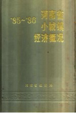 河南省统计局编 — 河南省小城镇经济概况 1985-1986