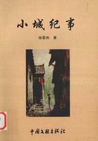 徐景洲著, 陈钧, 薛家太著, Jun Chen, Jiatai Xue, 冯宪科主编, 冯宪科, 徐景洲著, 徐景洲, 马维芳著, 马维芳, 姚冰阳著, 姚冰阳 — 小城纪事